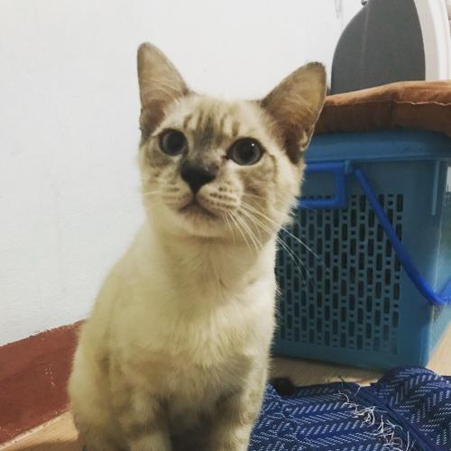 สมาชิกหมายเลข 4426976