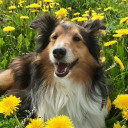 ลูกน้อยกลอยใจ