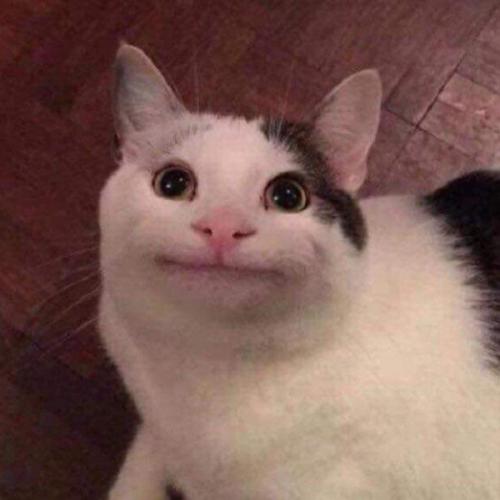 สมาชิกหมายเลข 3931732