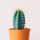 สมาชิกหมายเลข 5546623