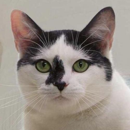 สมาชิกหมายเลข 2079122