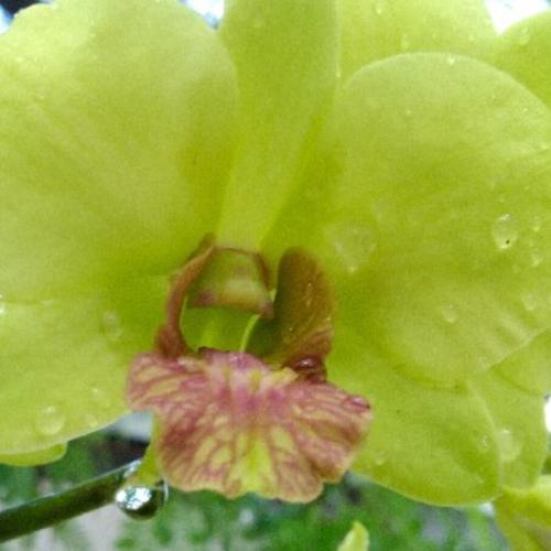 สมาชิกหมายเลข 3271168