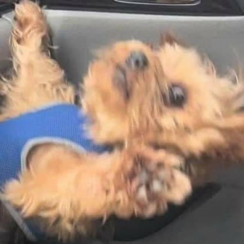 สมาชิกหมายเลข 3367801