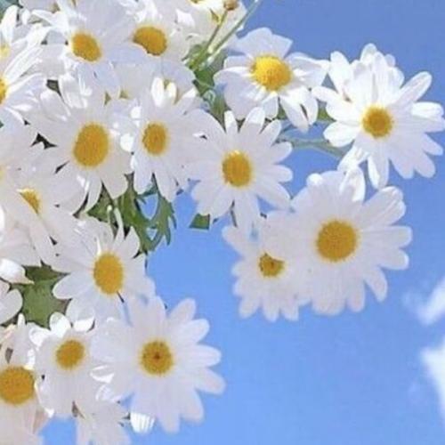 สมาชิกหมายเลข 6729893