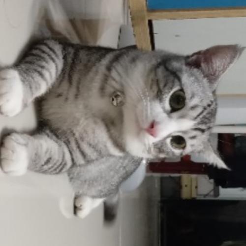 สมาชิกหมายเลข 5640262