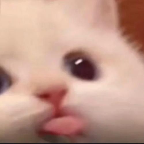 สมาชิกหมายเลข 6412282