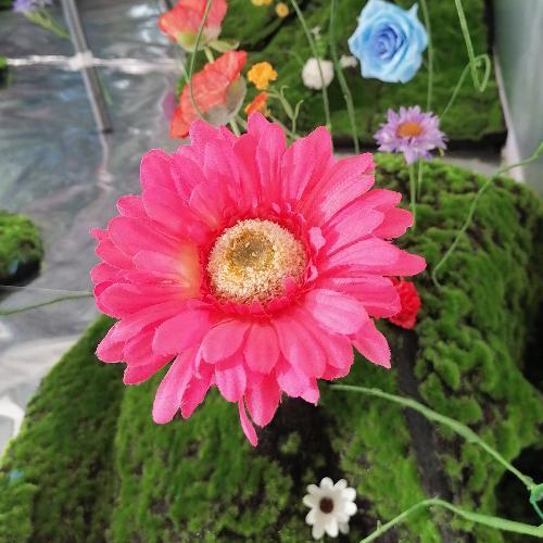 สมาชิกหมายเลข 6476690