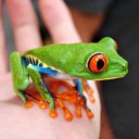 สมาชิกหมายเลข 1890749