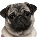 สมาชิกหมายเลข 2336972