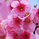 สมาชิกหมายเลข 3948007