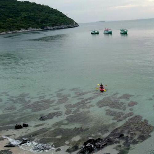 สมาชิกหมายเลข 4668491