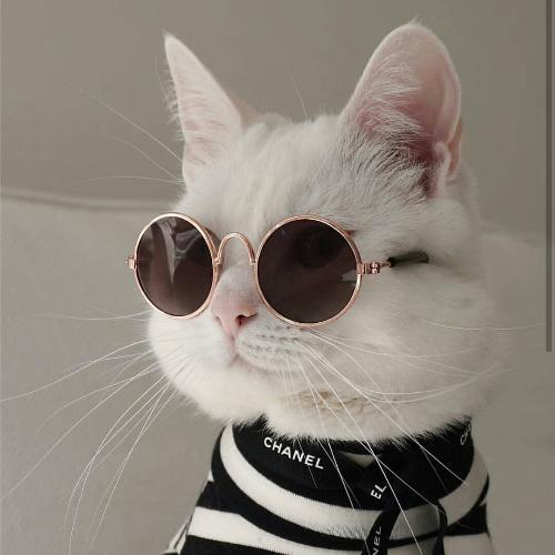 สมาชิกหมายเลข 5150173