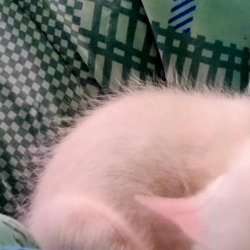 สมาชิกหมายเลข 6655424