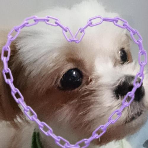 สมาชิกหมายเลข 6730400