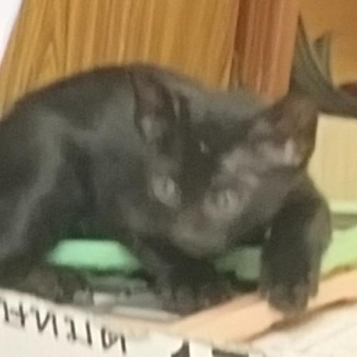 สมาชิกหมายเลข 5243084