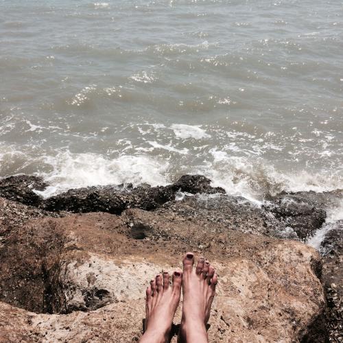 สมาชิกหมายเลข 1571677