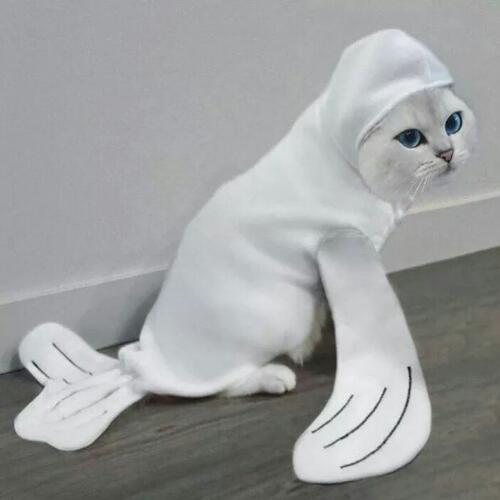 สมาชิกหมายเลข 2701396