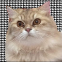 สมาชิกหมายเลข 1003624