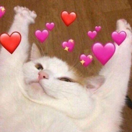 สมาชิกหมายเลข 3563490