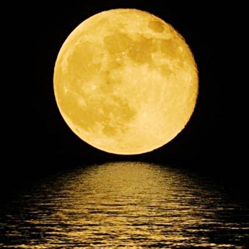 สมาชิกหมายเลข 4687791