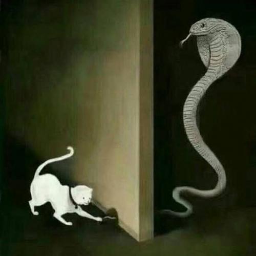 สมาชิกหมายเลข 5150436