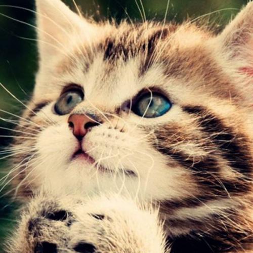 สมาชิกหมายเลข 5083982