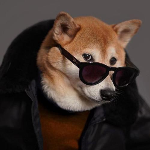 สมาชิกหมายเลข 5289057