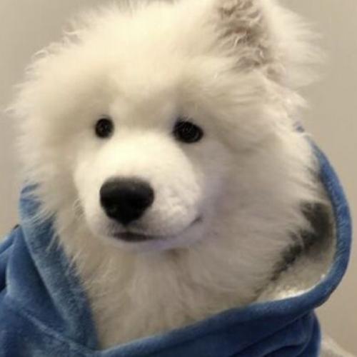 สมาชิกหมายเลข 6611273