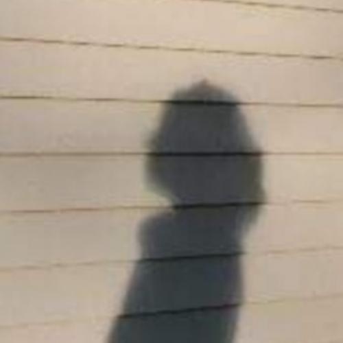 สมาชิกหมายเลข 6731210