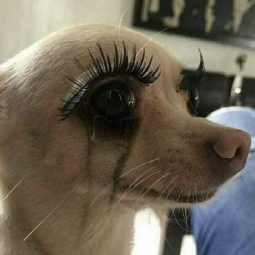 สมาชิกหมายเลข 5305137