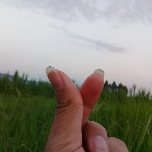 สมาชิกหมายเลข 5149265