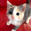 สมาชิกหมายเลข 5552529