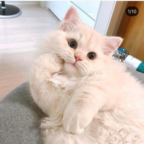 สมาชิกหมายเลข 6022690