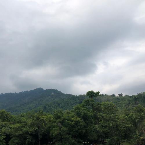 สมาชิกหมายเลข 6074941