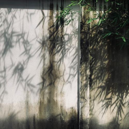 สมาชิกหมายเลข 5402334