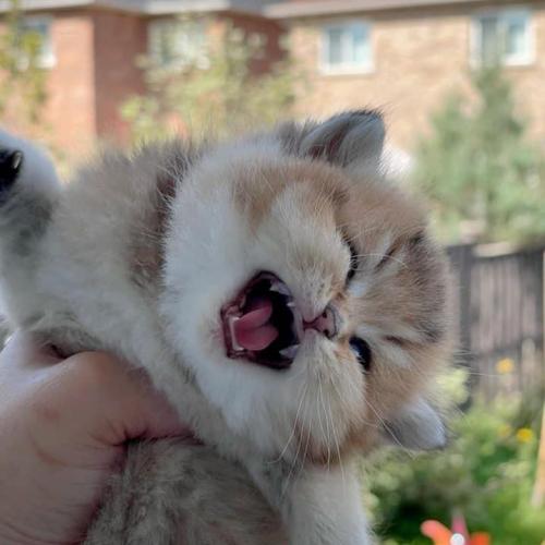 สมาชิกหมายเลข 6731889