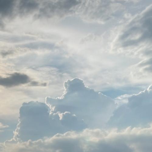 สมาชิกหมายเลข 6732307