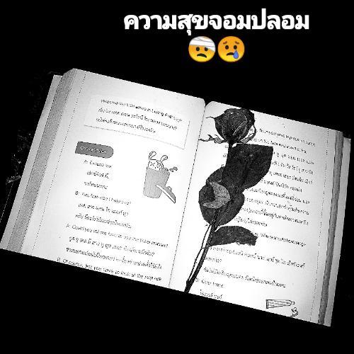 สมาชิกหมายเลข 4774607