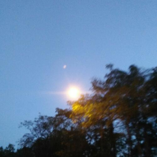 สมาชิกหมายเลข 5151164