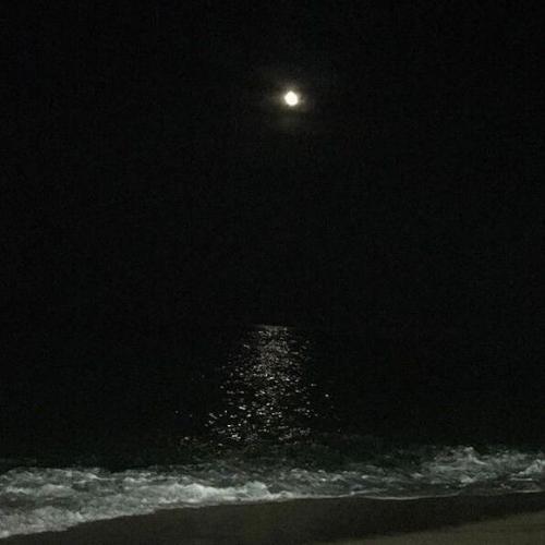 สมาชิกหมายเลข 5151209