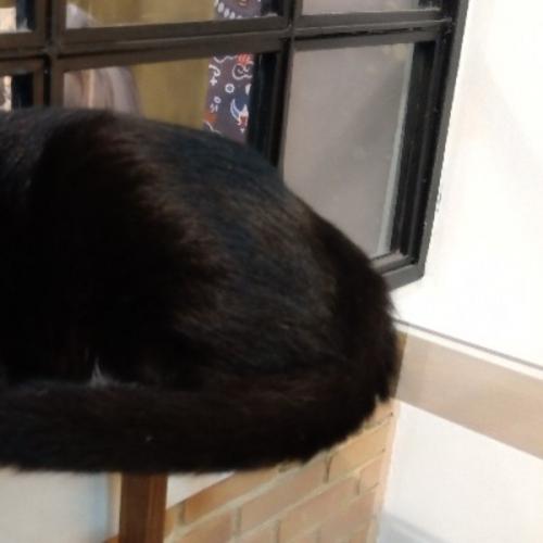 สมาชิกหมายเลข 5122140