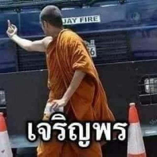 สมาชิกหมายเลข 3687331