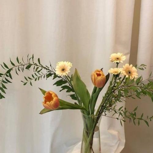 สมาชิกหมายเลข 2468904