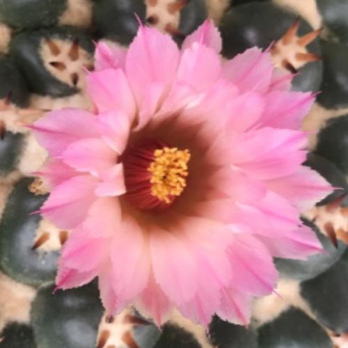 สมาชิกหมายเลข 6714065