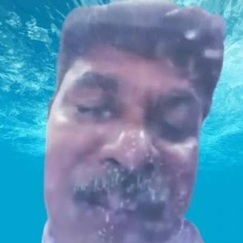 สมาชิกหมายเลข 8396391