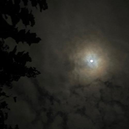 สมาชิกหมายเลข 8396528