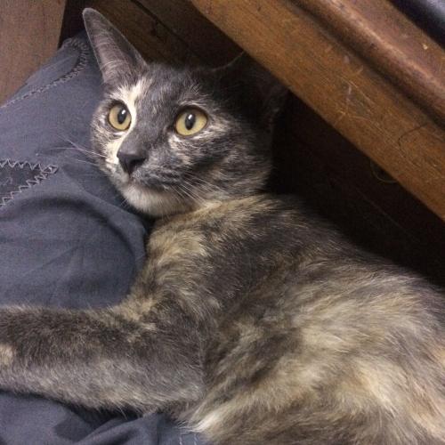 สมาชิกหมายเลข 4428795