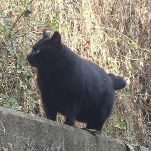 สมาชิกหมายเลข 975428