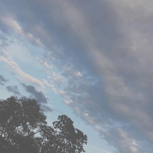 สมาชิกหมายเลข 4773882