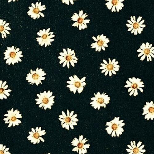 สมาชิกหมายเลข 4774705